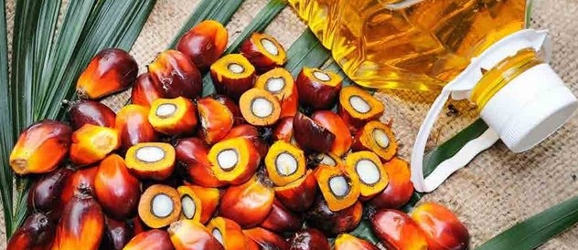 Noix de palme
